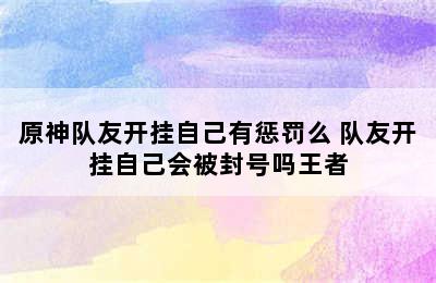 原神队友开挂自己有惩罚么 队友开挂自己会被封号吗王者